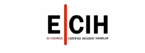 Logo ECIH Logo ECIH