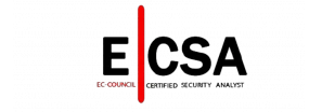 Logo ECSA Logo ECSA